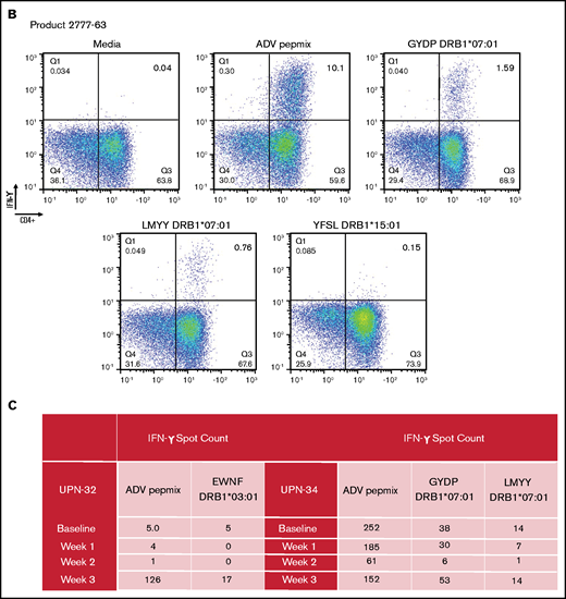 In silico predicted adenoviral epitopes elicit a VST response by intracellular flow cytometry. (B) Representative example of a product that had been given to a patient with a complete clinical response. This product has a response to peptides predicted to be presented by DRB1*07:01 but not to the peptide predicted to be presented by DRB1*15:01. (C) Quantitation of the number of adenoviral T cells by ELISpot in 2 recipients of third-party VSTs. PBMCs were stimulated with either adenoviral Pepmix or single peptides with the HLA predicted to present the epitope indicated in the table. At all timepoints, the background media spot counts have been subtracted.