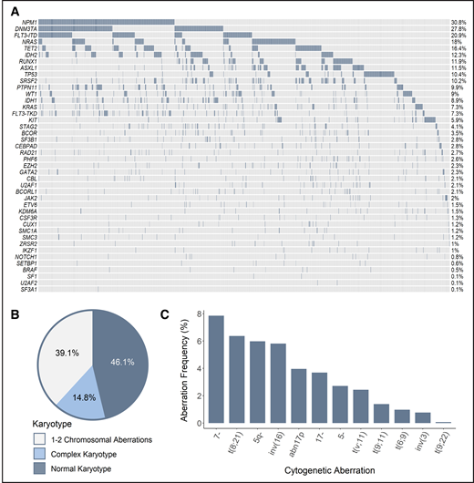 Genetic make-up of the total AML cohort. (A) Frequency of recurrent mutations. Proportion of patients based on the number of karyotypic aberrations (B) and frequency of recurring cytogenetic abnormalities (C). The assignment of patients to particular cytogenetic subgroups was not hierarchical; therefore, a single patient could be assigned to multiple subgroups when appropriate (ie, when >1 cytogenetic aberration was found).