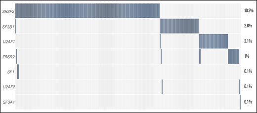The frequency of SF mutations in the total AML cohort. The percentage of patients with SF mutations among the total number of AML cases in this study (N = 1447) is shown. The number of cases evaluated for each gene is shown in supplemental Table 2. Cumulatively, SF mutations were identified in 22% of evaluated cases, including 148 individuals with an SRSF2 mutation, 41 patients with an SF3B1 mutation, 31 individuals with a U2AF1 mutation, and 15 patients with a ZRSR2 mutation. Furthermore, 2 patients with an SF1 mutation and 1 patient with SF3A1 and U2AF2 mutations were found.