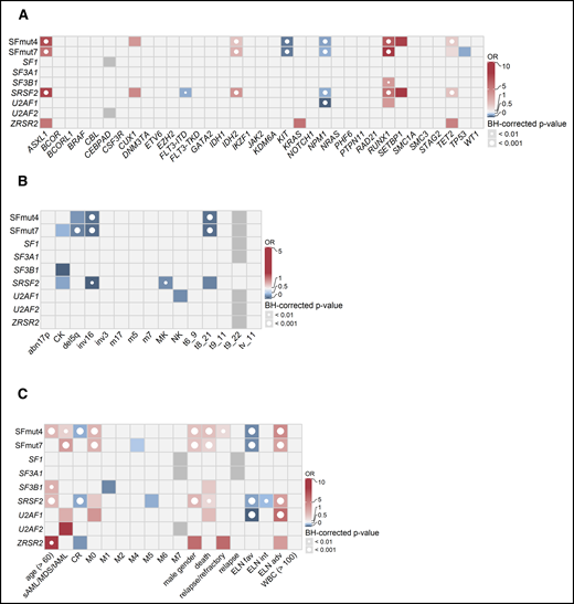 Associations between SF mutations and other recurrent gene mutations, cytogenetics, and clinical variables. Associations were determined using Fisher’s exact test with the Benjamini-Hochberg (BH) correction for multiple testing. The odds ratios (ORs) for significant associations are color coded. Red colors indicate a positive association (co-occurrence), whereas blue colors indicate a negative association (mutual exclusivity). Gray indicates missing data. The significance levels are indicated by the presence and size of the circle in each cell. (A) Co-occurrence and mutual exclusivity of SF mutations and other gene mutations. (B) Associations between SF mutations and cytogenetics. (C) Associations between gene mutations and clinical patient characteristics. adv, adverse; fav, favorable; int, intermediate.
