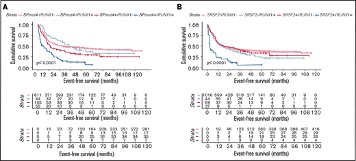 Influence of SF mutations on survival of RUNX1- and ASXL1-mutated patients. (A) Kaplan-Meier curves for EFS in relation to SFmut4 in combination with the mutation status of RUNX1. (B) Kaplan-Meier curves for EFS in relation to the mutation status of SRSF2 in combination with RUNX1. Multivariable Cox regression analysis of EFS in relation to the mutation status of SRSF2 (C) or SFmut4 (D) with RUNX1 mutations and modified ELN 2017 classification. In the modified ELN 2017 classification, RUNX1 and ASXL1 mutations were excluded; patients carrying a RUNX1 or ASXL1 mutation were reclassified based on the presence of the rest of the aberrations in this classification system. Type of stem cell transplantation violated the proportional hazard assumption; therefore, it was used as strata variable in all of the multivariable Cox regression models (for variables used in the model as strata, the statistics were not calculated and do not appear in the results). Because the number of cases for which data on all 4 of the most common SF mutations (included in the SFmut4 variable) were available was smaller than the number of cases for which SRSF2 alone was available, the patient numbers used in the analyses differ in panel B and panel C differ. *P < .05; **P < .01; ***P < .001. HR, hazard ratio; Ref, reference; sAML, sAML/tAML/MDS; 95% CI, 95% confidence interval.