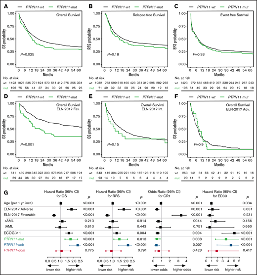 Correlation of PTPN11 mutational status with clinical outcome. Kaplan-Meier analysis showing the probability of (A) OS, RFS, and EFS for AML patients with (mut; green) or without (wt; black) mutation in PTPN11, as well as OS in ELN-2017 favorable (D), intermediate (E), and adverse (F) risk groups. Numbers at risk are presented below each figure. (G) Results of the multivariable analysis for PTPN11-mut (n = 106; green) vs PTPN11SUB (n = 68; blue) vs PTPN11DOM (n = 38; red) mutational status.