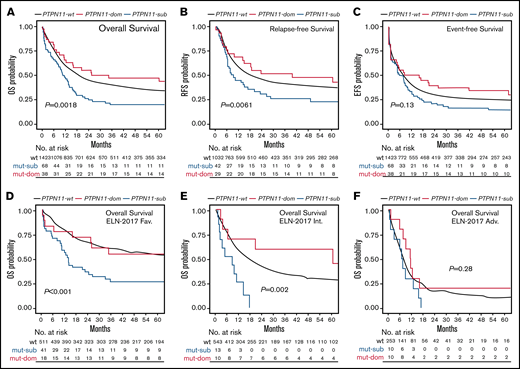 Association of PTPN11 clonal rank with clinical outcome. Kaplan-Meier analysis showing the probability of (A) OS, RFS, and EFS for AML patients without (wt; black) or with PTPN11 mutation in subclonal (PTPN11SUB; blue) or dominant (PTPN11DOM; red) configuration, as well as OS in ELN-2017 favorable (D), intermediate (E), and adverse (F) risk groups. Numbers at risk are presented below each figure.