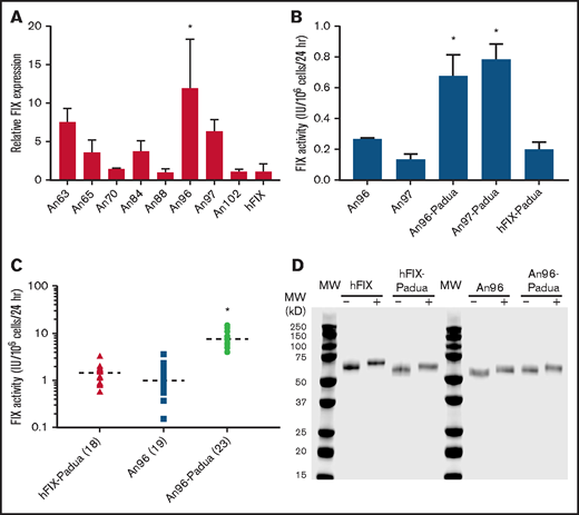 Recombinant AnFIX expression and characterization. Recombinant AnFIX expression was determined in transient (A-B) and stable (C) mammalian cell expression systems with and without R338L (Padua) mutation (B-C) by measuring FIX activity in the conditioned medium by 1-stage coagulation assay and manually counting the cells present in each well by hemocytometer to obtain a FIX activity (IU) accumulated per million cells per 24 hours (expression value). Error bars indicate sample standard deviation. Closed shapes represent individual clones, with sample size in parentheses and mean as a dashed line. Statistical analysis was performed using a 1-way analysis of variance with post hoc Tukey multiple comparisons test. (D) Highly purified recombinant hFIX, hFIX-Padua, An96, and An96-Padua were separated by sodium dodecyl sulfate–polyacrylamide gel electrophoresis and visualized by Coomassie blue staining under reducing (+) and nonreducing (−) conditions after incubation at 95°C for 5 minutes with or without dithiothreitol, respectively. *AnFIX variants with significant expression above the other variants (P < .05).