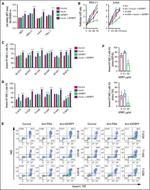The prosurvival effect of IGFBP7 is insulin (IGF) dependent. (A) ALL cell lines were cultured in RPMI-10% FBS supplemented with insulin (500 ng/mL) and/or IGFBP7 (100 ng/mL) for 48 hours. Cell viability was quantified by the MTT assay. Bars represent means ± SE for 2 independent experiments run in triplicate wells. (B) Proliferation of RS4;11 and Jurkat cell lines expressing shRNAs against IGFBP7 (sh.959) or scramble control (Scr) analyzed by the trypan blue exclusion technique after insulin (500 ng/mL) and/or IGFBP7 (100 ng/mL) treatment. Results from a single experiment run in triplicate wells, using RPMI-3% FBS. See also supplemental Figure 3. (C) Primary BCP-ALL cells after 48 hours or (D) primary T-ALL cells after 24 hours cultured in AIM-V serum-free medium supplemented with insulin (500 ng/mL) and/or IGFBP7 (100 ng/mL). Cell viability was measured by Annexin-V/7AAD staining and flow cytometry. Bars represent means ± SE of Annexin-V/7AAD negative fraction of 2 independent experiments run in duplicate wells. See also supplemental Figure 4A. (E) Primary BCP or T-ALL cells were cultured in AIM-V serum-free medium (Control) supplemented with an anti-PSA control (20 µg/mL) or anti-IGFBP7 antibody (clone C311, 20 µg/mL) for 48 or 24 hours, respectively. Apoptosis was measured by Annexin-V/7AAD staining and flow cytometry. See also supplemental Figure 4B. High IGFBP7 concentrations (20 µg/mL) are detrimental to primary BCP- and T-ALL (F) cells after 24 hours of treatment in AIM-V serum-free medium supplemented with insulin (500 ng/mL). See also supplemental Figure 4C. Statistical analysis was done by 1- or 2-way ANOVA and Bonferroni posttests (*P .05, **P .01, ***P .001, and ****P .0001).