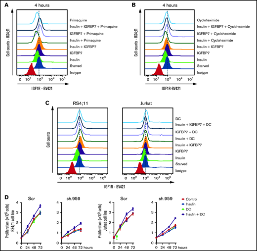 Receptor recycling or synthesis do not contribute to IGF1R retention at the cell surface on IGFBP7 treatment. RS4;11 or Jurkat cells were starved for 4 hours in serum-free RPMI medium and then left untreated or stimulated for 4 hours with insulin (500 ng/mL), IGFBP7 (100 ng/mL), and their combination. Receptor recycling, synthesis, and endocytosis were inhibited by concomitant addition of (A) primaquine (100 µM), (B) cycloheximide (20 µM), or (C) dansylcadaverine (DC; 10 µg/mL), respectively. The cell surface expression of IGF1R was measured by flow cytometry. (D) Proliferation of RS4;11 and Jurkat cells expressing shRNAs against IGFBP7 (sh.959) or scramble control (Scr) analyzed by the trypan blue exclusion technique after treatment with insulin (500 ng/mL), dansylcadaverine (DC; 10 µg/mL), or their combination. Results from a single experiment run in triplicate wells, using RPMI-3% FBS.
