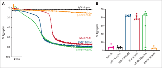 Known ligands of TrkB induce platelet aggregation. Example trace (A) and quantification (B) of platelet aggregation in response to 370 nM BDNF, 370 nM NT4, 10 µg/ml TrkB-activating antibody (n = 7), and 370 nM β-NGF (n = 3). IgG1 was used as an isotype control (10 µg/mL). Repeated-measures ANOVA, P = .005; compared with vehicle, BDNF 370 nM P < .0001, NT4 370 nM P < .0001 and TrkB-activating antibody, P = .037. Arrowheads indicate the time point at which the agonist was added. Data are presented as median and IQR.