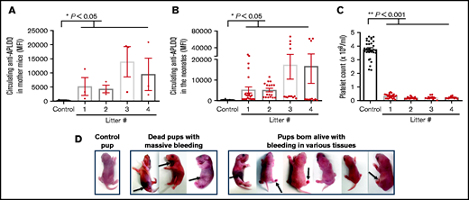 Persistence of neonatal thrombocytopenia in singly alloimmunized female mice. (A) Maternal anti-APLDQ alloantibody (n = 3 mice per group) titer persists for the duration of 4 serial matings (over an ∼24-week period). Control is plasma from nonimmunized mice. (B) Circulating maternal anti-APLDQ alloantibody levels in the blood of neonatal pups (n = 11-30 mice per group) is present in all 4 serial litters of pre-immunized BALB/c female mice. Control is anti-APLDQ antibody levels in the pups of nonimmunized females. (C) Platelet counts (n = 11-30 mice per group) of all neonates in each litter born to 3 female BALB/c mice that had been pre-immunized with APLDQ murine platelets and then serially bred 4 times with APLDQ homozygous males. Note that the platelet counts of the neonatal mice was as low after the fourth litter as it was in the first litter. Control is neonatal platelet count of pups of nonimmunized females. (D) Representative bleeding in pups born to APLDQ pre-immunized WT BALB/c females crossed with APLDQ homozygous males. The pups are thus heterozygous for the paternally derived APLDQ humanized form of GPIIIa, with the other allele being maternally derived WT murine GPIIIa. Data are presented as mean ± SEM. *P < .05; **P < .001.
