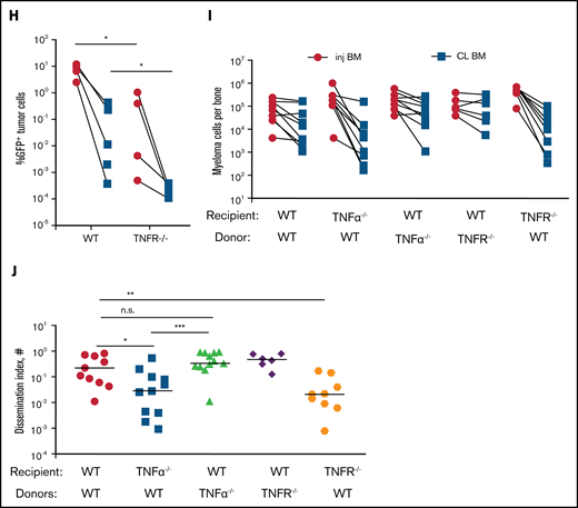 Proinflammatory cytokines TNFα and IL-6 promote dissemination of MM. (A) Analysis of circulating tumor cells in tumor-bearing mice (4-6 weeks post tumor challenge), before (pre) and 2 hours (hr) after (post) treatment for 2 days with recombinant cytokines rTNFα or rIL-6. (B) Analysis of circulating tumor cells in tumor-bearing mice (4-6 weeks post tumor challenge) at 24 hours after treatment for 2 days with rTNFα or rIL-6. (C) Cell tracks of myeloma cells (n = 99) after time-lapse imaging in the BM focus before and 0 to 2 hours after treatment with rTNFα (1 µg) and analysis of their track speeds. (D-E) Analysis of tumor burdens in tibias and dissemination index in IL-6 and WT hosts after intratibial tumor inoculation. (F) Analysis of tumor burden in bones after intravenous (i.v.) tumor inoculation. (G-H) Comparison of tumor burdens (as in panel D) in TNFα−/−, TNFR−/−, and WT control mice. (I-J) Analysis of tumor burden and dissemination index in chimeric hosts, generated from lethal irradiation of recipient mice and reconstitution with donor BM cells as labeled. All experiments were independently repeated at least 2 times. Data points represent individual mice, and data from multiple experiments were pooled; comparisons were analyzed by using a Mann-Whitney t test. *P < .05; **P < .01; ***P < .001; ****P < .0001. Thick horizontal lines are means throughout; error bars are standard deviation in panels C and F and SEM in panel E.