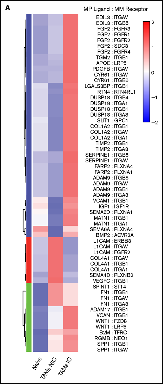 TAMs and MM have unique cell-cell interactions . (A) Upregulated MP ligand-MM receptor pairs clustered by interaction scores. (B) GO-term analysis of the 3 clusters of ligand-receptor pairs in panel A. (C) Upregulated MM ligand-MP receptor pairs clustered by interaction scores. (D) GO-term analysis of the 3 clusters of ligand-receptor pairs in panel C. (E) Flow cytometric analysis of surface expression of CD324, CD71, and CD29 on MM cells (CD138hiGFPhi) vs PCs (CD138hiB220–GFP–), and VCAM-1 expression on TAM-IC vs TAM-NIC cells using Mann-Whitney t tests (n = 3 mice) with similar results from a second experiment (not shown). *P < .05; **P < .01; ***P < .001; ****P < .0001. Error bars represent standard deviation.
