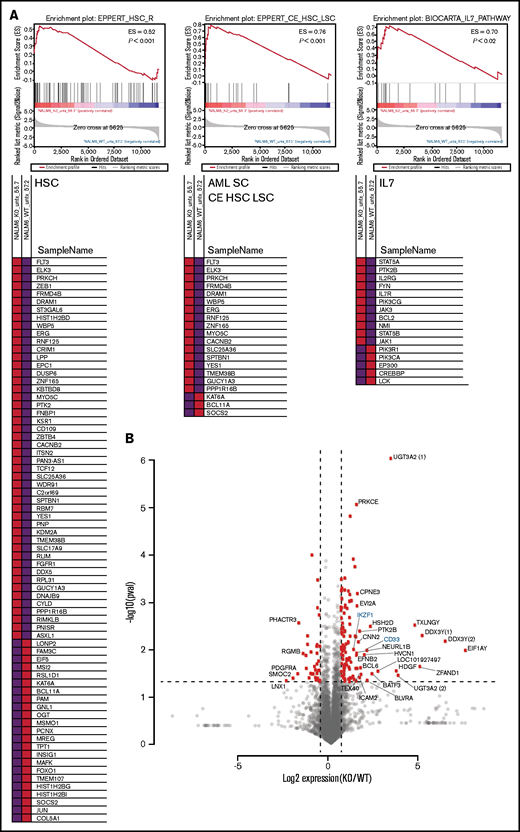 RNAseq analysis after IKAROS depletion reveals a stem cell–like gene expression pattern and upregulation of AML stem cell–associated genes. (A) Gene set enrichment analysis shows gene expression changes in signatures associated with hematopoietic stem cells (HSC), AML leukemia stem cells (AML SC CE HSC LSC), and the IL7/JAK/STAT pathways after IKZF1 knockout. Data shown are a representative example from a single pairwise gene set enrichment analysis of one WT and one IKZF1 KO experiment from 3 replicates. (B) Volcano plot showing the most statistically significantly upregulated and downregulated genes (IKZF1 KO vs WT). Parenthetical numerals next to gene identifiers indicate multiple isoforms of one gene. Genes highlighted in blue are included in confirmatory follow-up in other figures. ES, enrichment score.