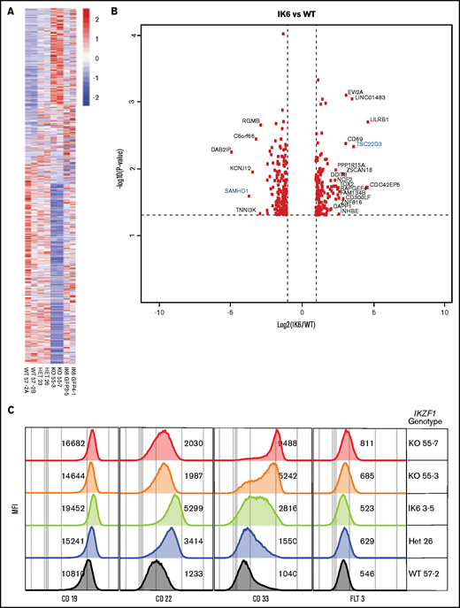 IK6 knock-in shows changes in gene expression patterns similar to heterozygous knockout. All samples are from Nalm-6 clonal cell lines. (A) Heatmap showing differential gene expression analysis from RNAseq from WT, heterozygous (HET), KO, and IK6 knock-in. (B) Volcano plot highlighting the most significantly upregulated or downregulated genes (IK6 vs WT). Genes highlighted in blue are included in confirmatory follow-up. (C) Flow cytometry histograms showing confirmation of protein expression changes of a panel of cell surface markers commonly used in leukemia phenotyping. MFI, mean fluorescence intensity.