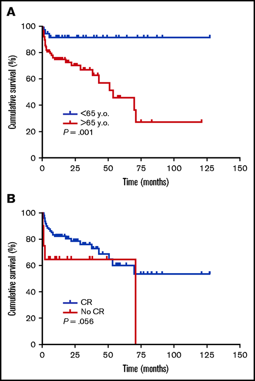 Survival according to selected clinical characteristics. Kaplan-Meier survival curves according to age (≥65 vs < 65 y) (A) and achievement of CR (yes vs no) (B), were generated, and compared by log-rank tests. Tick marks indicate patients whose data were censored by the time of last follow-up date.