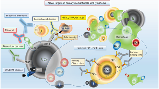 Novel targets in primary mediastinal B-cell lymphoma.