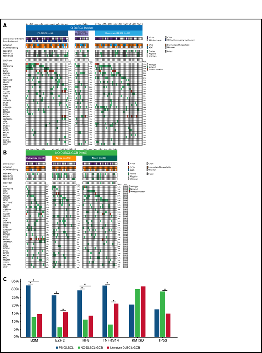 Significant differences in genetic landscapes between PB-DLBCL and NO-DLBCL-GCB. OncoPrint plot of the genetic aberrations and COO of O-DLBCL (A) and NO-DLBCL-GCB (B) subentities. COO phenotype is indicated by blue for ABC, orange for GCB, brown for intermediate (only NanoString), and gray for cases with unknown COO phenotype. Furthermore, a positive ISH (FISH or EBV-encoded small RNA) and a mutation in one of the genes are marked with green. Hotspot mutations are indicated with dark red (B2MM1*, CD79BY196*, EZH2Y646*, and MYD88L265P). (C) Comparison of identified genetic aberrations with high frequencies (≥20%) of PB-DLBCL, NO-DLBCL-GCB, and a pooled literature-based DLBCL-GCB cohort. PB-DLBCL showed a unique genetic profile, with increased frequencies of B2M, EZH2, IRF8, and TNFRSF14, and was significantly different (P = .031, P = .010, P = .047, and P = .003, respectively) compared with NO-DLBCL-GCB harboring high occurrences (although not significant) of KMT2D and TP53 aberrations (P = .347 and P = .325). Except for EZH2 and TNFRSF14 (P = .148 and P = .136), the occurrence of mutations in B2M and IRF8 in our cohort of PB-DLBCL was significantly higher compared with that of the literature-based DLBCL-GCB cohort (P = .012 and P = .020). Careful interpretation is needed, as essential data regarding exact anatomical localizations (eg, osseous involvement was unknown) were lacking for these studies. Significant difference (P < .05) between two groups were marked with asterisks.