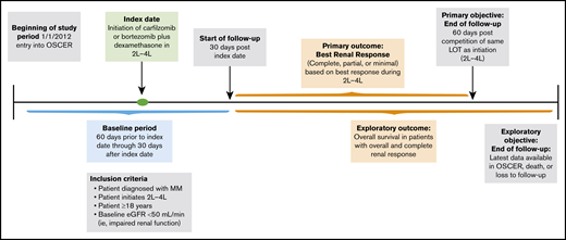 Study design. eGFR, estimated glomerular filtration rate; LOT, line of therapy.