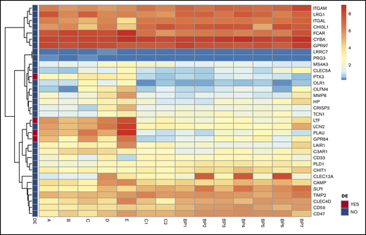 Transcript analysis of mRNA for SG proteins revealed no distinct differences in neutrophils of patients with GPS. Heatmaps of mRNA gene expression in granulocytes of GPS patients (A-E), controls (C1, C2) and BluePrint neutrophil reference transcriptomes (BP1-BP7). Of the 34 SG transcripts expressed, 4 were differentially expressed in GPS neutrophils (red boxes in the left panel indicate differentially expressed genes). See also the study by Sims et al.26 SG proteins according to Rorvig et al.25 DE, differentially expressed.