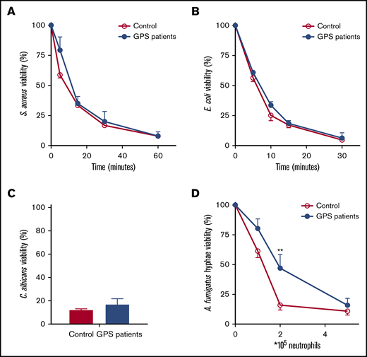 Normal microbial killing by GPS neutrophils. Killing of S aureus (A), E coli (B), C albicans (C), and A fumigatus (D) was assessed with neutrophils from healthy controls and patients with GPS. The microbial viability was quantified as colony-forming units and expressed as a percentage relative to the colony-forming units at the start of the assay. Results are means ± SEM, n = 3-10. An unpaired, 2-tailed t test was used. **P < .01.