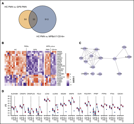 Proteomic basis of failed NETosis capacity. (A) Overlap in protein differences between circulating GPS and control blood neutrophils (HC PMN) vs MPB CD34+ HSC-derived neutrophils and circulating blood-derived neutrophils (HC PMN). (B) Heatmap of 22 overlapping proteins between the same cell groups as shown in panel A. (C) STRING-DB interaction network of 13 proteins with shared reduced abundancy. (D) Dot and line plots of 13 proteins with shared reduced abundancy. Blue dots present LFQ values, and red dots represent median LFQ values.