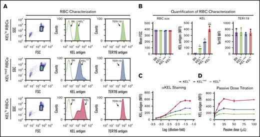 Distinct KEL founders produce RBCs that express distinct levels of the KEL antigen. (A) Representative flow plot and histogram for distinct KEL RBC donor populations, including forward (FSC) and side scatter (SSC) profile gating strategy, staining for the KEL antigen with anti-KEL antibodies, and the level of Ter119 observed in each population. (B) Quantification of FSC profile, KEL antigen levels, and Ter119 staining in KELhi, KELmed, and KELlo RBCs. *KELlo vs B6, P < .001; **KELmed vs B6, P < .0001; and KELmed vs KELlo, P < .001; ***KELhi vs B6, P < .0001; KELhi vs KELlo, P < .0001; and KELhi vs KELmed, P < .0001. (C) Titration of anti-KEL polyclonal antibody against KELhi, KELmed, and KELlo RBCs followed by flow cytometric examination. (D) Examination of antibody binding to KELhi, KELmed, and KELlo RBCs following incubation with serum isolated from recipients that were passively immunized with the indicated doses of anti-KEL antibody. Error bars represent mean ± SEM. n = 3-5 mice per group. Each panel represents data reproduced 3 times.