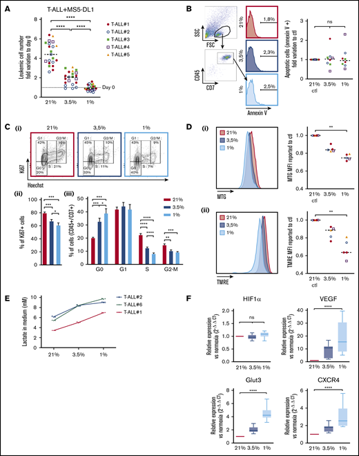 Hypoxia modulates apoptosis, cell cycle, and metabolism in T-ALL. (A) Growth of T-ALL in conditions of low and high O2 levels. Shown are the numbers of leukemic cells after 4 days of culture in normoxia and hypoxia expressed as fold variation compared with number of cells plated at day 0 in contact with MS5-DL1 cells. Every dot is the mean of technical triplicates for 1 experiment. T-ALL #1, n = 6exp; T-ALL #2, n = 6exp; T-ALL #3, n = 4exp; T-ALL #4, n = 3exp; and T-ALL #5, n = 2exp. (B) Apoptosis levels for T-ALL in culture at high and low O2 levels. Shown are fold variation of apoptotic cells relative to control, gated on lymphocyte cells. Every experiment was done in technical triplicate. T-ALL #1, T-ALL #2, T-ALL #3, and T-ALL #4, n = 2exp for each T-ALL. (C) Cell cycle analysis of T-ALL in high and low O2 levels. (i) Representative plots of Ki67/Hoechst staining of T-ALL #1. Proportion of Ki67+ leukemic cells (ii) and proportion of cells in G0, G1, S, and G2/M phases (iii). Shown are mean ± SEM of cultures with T-ALL #1 and T-ALL #3, n = 6exp. (D) Metabolic status of T-ALL in high and low O2 levels. MTG (i) and TMRE (ii) staining of a representative experiment (T-ALL #2) and MFI from T-ALL cultured in hypoxia reported to controls. Every experiment was done in triplicate. T-ALL #1, T-ALL #2, T-ALL #4, and T-ALL #5, n = 1exp for each T-ALL except for T-ALL #1, which was n = 2exp. (E) Lactate levels in T-ALL medium cultured in hypoxia. The blasts were cultured for 3 days in hypoxia or normoxia. The measure of lactate levels was performed on the culture medium according to the manufacturer protocol (lactate assay kit: 03183700; Roche). Shown are mean ± standard deviation of lactate triplicate values. One experiment was done with each leukemia sample. (F) Relative mRNA expression levels of HIF-1α, Glut3, VEGF, and CXCR4 genes. Tested on T-ALL #1, T-ALL #2, T-ALL #3, and T-ALL #4, n = 9exp. Statistics were done using the Friedman test: *P < .05, **P < .01, ***P < .001. exp, experiment.