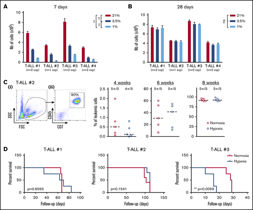 Hypoxia impacts T-ALL cell regrowth activity in vitro and in vivo. (A-B) Growth of T-ALL after hypoxia cultures have been stopped. (A) Leukemic cell numbers of T-ALL precultured in low and high O2 levels after replating 7 days at 21% of O2 with MS5-DL1 stromal cells. (B) Same except the secondary cultures were maintained for 28 days. Every experiment was done in triplicate. Shown are mean ± SEM of cultures with each T-ALL. (C) Engraftment levels of T-ALL after cultures in low and high O2 levels. (i) Representative flow cytometry analysis 8 weeks after transplantation of mouse #1 BM injected with T-ALL #2 precultured in normoxia. (ii) Kinetic of leukemia development in BM after transplantation of 500 cells of T-ALL #2 precultured in normoxia or hypoxia. Shown are percent of leukemic (human CD45+CD7+) cells. (D) Survival curves of mice transplanted with 500 leukemic cells isolated from cultures in normoxia or in hypoxia (4-5 mice per condition). Statistics were determined with the Friedman test and the log-rank (Mantel-Cox) test for mice survival: **P < .01, ***P < .001.