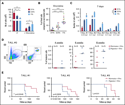 Hypoxia enhances T-ALL chemoresistance. (A-B) Effect of vincristine on T-ALL resistance in high and low O2. (A) Numbers of live cells recovered after treatment during 72 hours with 10 nM (+vincristine) or without (Ø) vincristine. Mean ± SEM of triplicate cultures are represented. Shown are mean ± SEM of cultures with T-ALL #1, T-ALL #, T-ALL #3, T-ALL #4, and T-ALL #5, n = 9 experiments. (B) Same result is presented in percentage of live cells after treatment (+vincristine in panel A) compared with nontreated (Ø in panel A) cells. Every experiment was done in triplicate. Every dot is the mean of those triplicates with T-ALL #1, n = 3exp; T-ALL #2, n = 5exp; T-ALL #3, n = 3exp; T-ALL #4, n = 2exp; and T-ALL #5, n = 1exp. (C) Leukemic cell production after 7 days in normoxia without treatment, following T-ALL treatment with vincristine in normoxia or hypoxia. Every experiment was done in triplicate. Shown are mean ± SEM of cultures with each T-ALL. (D) Propagating activity of T-ALL treated ex vivo with vincristine in high or low O2 levels. Shown is a kinetic analysis (4, 6, and 8 weeks) of leukemia development in BM after transplantation of 500 leukemic cells of T-ALL #2 recovered from normoxic or hypoxic culture with vincristine treatment, represented in percent of leukemic cells. (i) Representative mouse. (ii) Analysis of 5 mice/group from T-ALL #2. (E) Survival of mice transplanted with 500 cells precultured in normoxia or in hypoxia with vincristine (+Vinc). T-ALL #1, T-ALL #2, and T-ALL #3, 4-5 mice per condition. Statistics were determined using the Friedman test and the log-rank (Mantel-Cox) test for mice survival: *P < .05, **P < .01, ***P < .001. exp, experiment.
