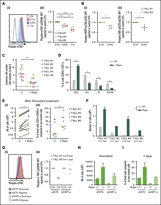 Relationship between hypoxia, HIF-1α expression, mTOR activation, and chemoresistance in T-ALL. (A) Phosphorylation of mTOR (pS2448) and (B) 4EBP1 and S6R. Shown are representative histograms (i) and MFI ratio obtained with leukemic cells harvested from hypoxia compared with normoxia cultures (Aii,Bi,Bii). Every dot is the mean of technical triplicates. In panel A, T-ALL #1, n = 4exp; T-ALL #3, n = 4exp; and T-ALL #5, n = 1exp. In panel B, T-ALL#1, n = 2exp; T-ALL#3, n = 1exp. (C) Effect of rapamycin (Rapa) on T-ALL growth in normoxia. Absolute leukemic cell number recovered from every culture condition. The data are expressed as fold variation between the number of cells recovered after 4 days of coculture in presence or absence of rapamycin compared with cells plated at day 0. Every dot is the mean of technical triplicates. T-ALL #1, n = 5exp; T-ALL #2, n = 3exp; T-ALL #3, n = 3exp; T-ALL #4, n = 1exp; and T-ALL #5, n = 3exp. (D) Rapamycin decreases T-ALL cell cycle progression. Shown are proportions of leukemic cells in G0, G1, S, and G2/M phases, during culture at 21% of O2 in presence or absence of rapamycin. Shown are mean ± SEM of triplicate cultures performed with T-ALL #1, T-ALL #2, and T-ALL #4, n = 6exp. (Ei) Rapamycin protects T-ALL from vincristine in normoxia. Shown are the absolute numbers of cells recovered after vincristine treatment in normoxia in presence or absence of rapamycin. (Eii) Same results are presented as percentage of live cells after vincristine treatment in presence (+Rapa) or in absence (Ø) of rapamycin compared with nontreated cells. Every dot is the mean of technical triplicates from T-ALL #1, n = 2exp; T-ALL #2, n = 2exp; T-ALL #3, n = 3exp; and T-ALL #5, n = 3exp. (F) Leukemic cell number recovered 7 days after replating T-ALL pretreated with vincristine ± rapamycin. Shown are mean ± SEM of technical triplicate cultures. (G) HIF-1α impacts on mTOR phosphorylation in low and high O2 concentration. (i) Phosphorylation of mTOR (pS2448) in a representative experiment with T-ALL #1. (ii) Ratio of MFI from shCTL/T-ALL or shHIF-1α/T-ALL cells cultured in hypoxia compared with those cultured in normoxia. Every dot is the mean of technical triplicates obtained with T-ALL #1, n = 2exp; and T-ALL #3, n = 1exp. Statistics were determined using the Friedman test (A), Wilcoxon test (B-E,G), or Mann-Whitney test (F): *P < .05, **P < .01, or ***P < .001. (H) Percentages of live shCTL/T-ALL and shHIF-1α/T-ALL cells recovered after treatment during 72 hours in hypoxia with vincristine in presence (+Rapa) or in absence (Ø) of rapamycin compared with nontreated cells. (I) Leukemic cell production after 7 days in normoxia without treatment after T-ALL. exp, experiment.