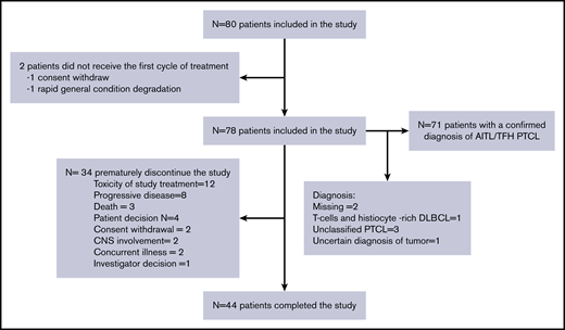 Flowchart of the study.