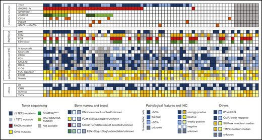 Description of molecular, pathologic, biologic, and imaging features of 71 AITL/TFH patients in the REVAIL trial. The section “mutations in tumor” describes distribution of mutations in TET2, RHOA, DNMT3A IDH2, CD28, PLCG1, STAT3, and STAT5B. Patients represented in dark blue bore at least 2 TET2 mutations, whereas only 1 TET2 mutation was detected in light blue samples. DNMT3AR882X variants are represented in dark green, whereas samples in light green harbored DNMT3A mutations altering another residue than R882. Sequencing failure, in gray, was because of the absence of enough material for DNA extraction or the presence of degraded DNA. In the section “BM/Blood,” BMI represents the presence of bone marrow involvement, as determined locally by the examination of BM trephine. Flow cytometry positivity means that cells with an aberrant phenotype were detected in blood by flow cytometry before treatment. PCR positive means that a significant (ie, representing at least 10% of the T-cell population) TCR clonal population was detected by denaturing gradient-gel electrophoresis PCR. EBV blood shows patients with a high level of EBV > 3 log, a low level of EBV (<3 log), or the absence of detectable EBV replication in blood. “pathological features and IHC” section describes the pathologic features of AITL biopsy. Blue is used to describe neoplastic cells, whereas the tumor microenvironment is scored in yellow. The percentage of neoplastic T cells was estimated by pathologists after IHC interpretation: >50% in darker blue cases, 30% to 50% in blue cases, and <30% in lighter blue cases. Clear cells with a large cytoplasm were detected in cases in dark blue, absent in cases in white, or unknown in gray. Immunohistochemistry assays for TFH markers (CD10, PD1, CXCL13, BCL6, ICOS) are described in the legend, with score 3 indicating >50% positive tumor cells, score 2 indicating 30% to 50% positive tumor cells, score 1 indicating <30% positive cells, and score 0 indicating no staining on tumor cells. FDC distribution was evaluated by CD21 and/or CD23 immunostaining and was assigned a score of 0 when the signal was restricted to germinal centers; 1 in case of perifollicular expansion; 2 in case of perifollicular and perivascular expansion; or 3 for diffuse expansion. The EBV status in large lymphoid cells was based on counting EBER-positive large cells and scored as follows: negative, absence of large EBV-positive cells; positive, up to 5 large EBV-positive cells per high power field (hpf); strongly positive, more than 5 per hpf or sheets or aggregates of large EBV-positive cells. As indicated in the legend, the sections “others” represent IPI at diagnosis (IPI 4-5 vs 1-3), CMR (CMR vs other response or nonevaluable), and SUVmax and TMTV, both being dichotomized at the median of the cohort.