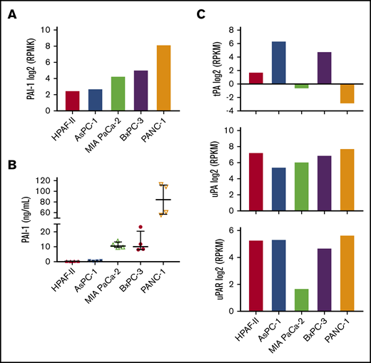 Plasminogen activator inhibitor 1 and fibrinolytic factors expression in human pancreatic cancer cell lines. We analyzed PAI-1 expression in 5 human pancreatic cancer cell lines. (A) Levels of PAI-1 mRNA in the different cell lines were from the Cancer Cell Line Encyclopedia database. The y-axis represents reads per kilobase of transcript per million mapped reads (RPKM) of RNA sequencing data. Data are shown as median ± interquartile range. (B) Levels of total PAI-1 in culture supernatant were determined by a commercial ELISA (n = 4). (C) Levels of tPA (top), uPA (middle), and uPAR (bottom) mRNA were from the Cancer Cell Line Encyclopedia database.