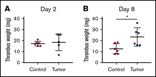 Thrombus weight in control and tumor-bearing mice. Venous thrombosis was induced in control and PANC-1 tumor-bearing mice by ligation of IVC. Thrombi were harvested 2 days (A, n = 6 and 5) or 8 days (B, n = 6 and 6) after IVC stasis and weighed. Mice with tumors between 2.1 and 2.9 g were used. Data are shown as mean ± standard deviation. Data were analyzed with either the Welch t test (A) or the unpaired, 2-tailed Student t test (B) depending on the variances (*P < .05).