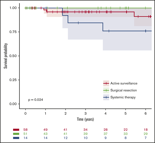 EFS from diagnosis by first-line management. For the purpose of this analysis, active surveillance and surgical resection were considered as the first line of treatment.