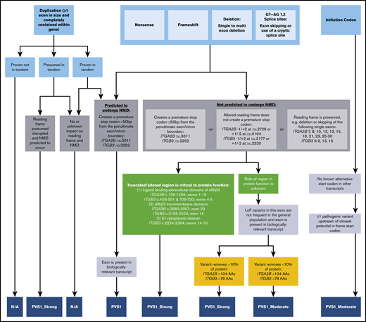 PVS1 decision tree for ITGA2B/ITGB3 variants. Application of different levels of strength for PVS1 depending on the following factors: type of variant (light blue), prediction of nonsense-mediated decay (NMD; gray), location within a known critical protein domain (green), and size of deletion (yellow). N/A, not applicable.