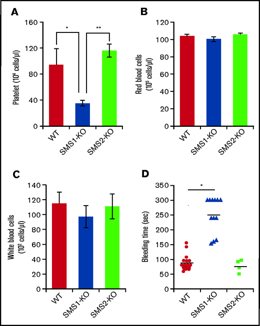 Platelet numbers and bleeding time in WT, SMS1-KO, and SMS2-KO mice. (A-C) Complete blood count analyses were performed on whole blood extracted from WT, SMS1-KO, and SMS2-KO mice (n = 3 per group). The numbers of platelets (A), red blood cells (B), and white blood cells (C) in mice of each genotype are shown. (D) The tail vein bleeding times of WT (n = 18), SMS1-KO (n = 12), and SMS2-KO (n = 4) mice are shown. Values show the mean ± standard deviation. *P < .05; **P < .005.