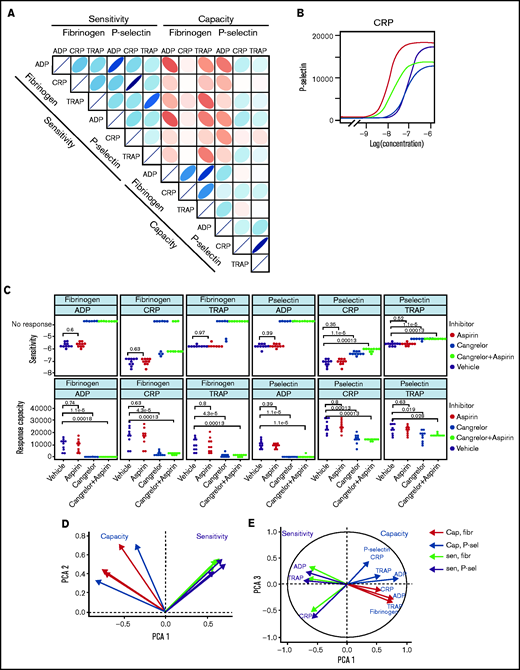 Patterns of variability in cohort 1. (A) Correlation matrix summarizing patterns between the 12 measures of platelet function and the sensitivity and capacity of fibrinogen and P-selectin to the agonists ADP, CRP, and TRAP-6. The area, shape, and color of the ellipses correspond to Spearman’s correlation coefficient. Colors indicate Spearman’s correlation coefficient values ranging from −1 (dark red) to +1 (dark blue). The ellipse shape indicates the relative spread of data points and the slope of the correlation, with a wider ellipse indicating a greater relative spread and a narrower ellipse indicating a lower spread (numerical values for Spearman correlation coefficients are given in supplemental Figure S12. (B) Examples of concentration-response curves for 4 donors. The curves depicted in red and magenta have capacity and sensitivity that correlate (high and low, respectively), whereas response curves in blue and gray do not follow this pattern and have high sensitivity but low capacity and vice versa. All curves are for P-selectin in response to CRP. (C) Effects of platelet inhibitors (100 µM aspirin, 1 µM cangrelor, or both) on responses to ADP, CRP, and TRAP-6. Data are generated from the responses of 10 blood donors. (D-E) Results of the PCA (scree plot is provided in supplemental Figure 18). The biplots show vectors representing each variable on a plane where the angle between the vectors is informative; vectors closer together suggest dependence, whereas those that are orthogonal suggest a lack of independence in the variables. (D) Biplot of PC1 and PC2. (E) PCA biplot of PC1 (x-axis) and PC3 (y-axis). In both biplots, colored arrows represent the contribution of each variable to the PC; arrows representing measures of sensitivity are shown in red, and arrows representing measures of capacity shown in blue.