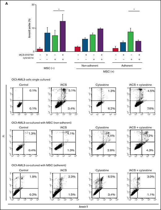 MSC coculture inhibits OxPhos inhibition and cytarabine-induced apoptosis with increasing mitochondrial transfer. OCI-AML3 cells were treated with OxPhosi IACS-010759 (20 nM) and/or cytarabine (500 nM) for 72 hours in the presence or absence of MSCs. In cocultured cells, nonadherent OCI-AML3 cells were separated from the MSC monolayer by careful pipetting. After removing nonadherent cells, the OCI-AML3 cells that adhered to cocultured MSCs were trypsinized with MSCs and then separated from MSCs by magnetic-activated cell sorting using anti-CD45 microbeads. (A) Apoptotic cell death of adherent and nonadherent OCI-AML3 cells in single-culture and MSC-coculture conditions was detected by staining with annexin V-FITC/PI and an anti-CD45 APC-conjugated antibody using flow cytometry. Representative flow cytometry plots (bottom) show annexin V (x-axis) and PI (y-axis) staining. (B) The rate of MSC-derived mitochondrial transfer in cocultured nonadherent OCI-AML3 cells was detected by counting the number of GFP and dsRed dual-positive recipient cells per 100 GFP+ cells (n > 5) at ×40 magnification by live-cell imaging with confocal microscopy using laser scanning to obtain images. (C) The rate of MSC-derived mitochondrial transfer in OCI-AML3 cells that adhered to MSCs was detected by flow cytometric analysis after depletion of MSCs with MACS as described in supplemental Materials and Methods. Representative flow cytometry plots are shown (right). Error bars in the graphs show the means ± SDs of the results from 3 independent experiments. Two-way analysis of variance (ANOVA) *P < .05; **P < .01.
