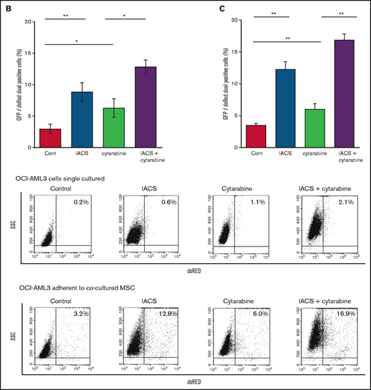 MSC coculture inhibits OxPhos inhibition and cytarabine-induced apoptosis with increasing mitochondrial transfer. OCI-AML3 cells were treated with OxPhosi IACS-010759 (20 nM) and/or cytarabine (500 nM) for 72 hours in the presence or absence of MSCs. In cocultured cells, nonadherent OCI-AML3 cells were separated from the MSC monolayer by careful pipetting. After removing nonadherent cells, the OCI-AML3 cells that adhered to cocultured MSCs were trypsinized with MSCs and then separated from MSCs by magnetic-activated cell sorting using anti-CD45 microbeads. (A) Apoptotic cell death of adherent and nonadherent OCI-AML3 cells in single-culture and MSC-coculture conditions was detected by staining with annexin V-FITC/PI and an anti-CD45 APC-conjugated antibody using flow cytometry. Representative flow cytometry plots (bottom) show annexin V (x-axis) and PI (y-axis) staining. (B) The rate of MSC-derived mitochondrial transfer in cocultured nonadherent OCI-AML3 cells was detected by counting the number of GFP and dsRed dual-positive recipient cells per 100 GFP+ cells (n > 5) at ×40 magnification by live-cell imaging with confocal microscopy using laser scanning to obtain images. (C) The rate of MSC-derived mitochondrial transfer in OCI-AML3 cells that adhered to MSCs was detected by flow cytometric analysis after depletion of MSCs with MACS as described in supplemental Materials and Methods. Representative flow cytometry plots are shown (right). Error bars in the graphs show the means ± SDs of the results from 3 independent experiments. Two-way analysis of variance (ANOVA) *P < .05; **P < .01.