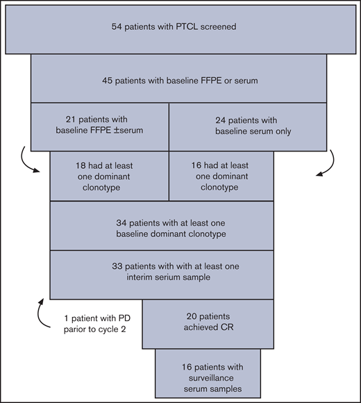 Patients and calibration. Fifty-four patients with untreated PTCL enrolled in the treatment study and were screened to determine whether baseline FFPE and/or serum samples were available. Thirty-four patients had a dominant T-cell receptor rearrangement identified from FFPE or serum samples, and they comprised the study cohort for the correlative analysis of circulating tumor DNA.