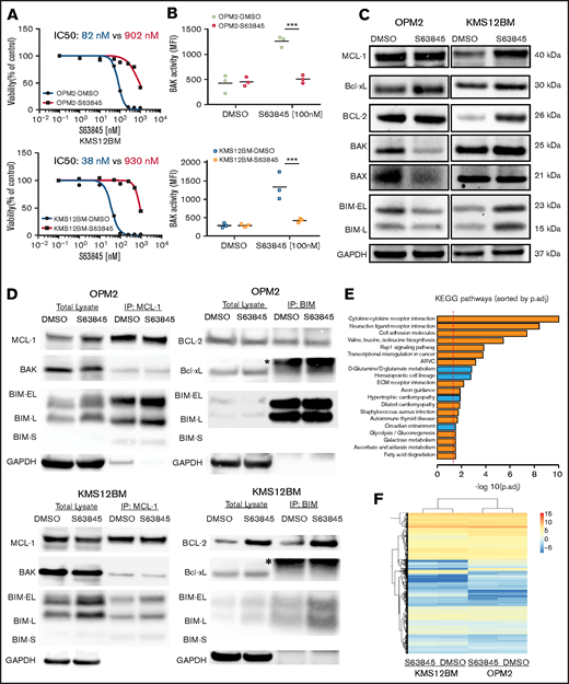 Characterization of S63845 resistant cells reveals heterogeneous resistance profiles. (A) Dose-response curves of S63845-sensitive vs -resistant cells indicate a >10-fold shift of IC50 values. Viability was assessed 72 hours after treatment (n = 3 biological replicates). (B) Lack of BAK activation after treatment with S63845 in resistant cells. BAK activation status was determined 4 hours after treatment with 100 nM S63845. Graphs represent the mean (horizontal lines) of 3 independent experiments. ***P < .001. (C) Baseline protein levels of Bcl-2 family members show cell line–specific adaptations in OPM2-S63845- vs KMS12BM-S63845-resistant cells. (D) Assessment of baseline BH3 family binding patterns in S63845-sensitive vs -resistant cells (n = 2 biological replicates). *Immunoglobulin light chain. (E) Top 20 significantly deregulated pathways in S63845-sensitive vs -resistant cells, as determined by the Ensemble of Gene Set Enrichment Analysis (EGSEA) method. (p.adj., adjusted P-value). (F) Hierarchical cluster analysis demonstrates a closer association between individual cell line pairs rather than sensitive vs resistant cell line status.