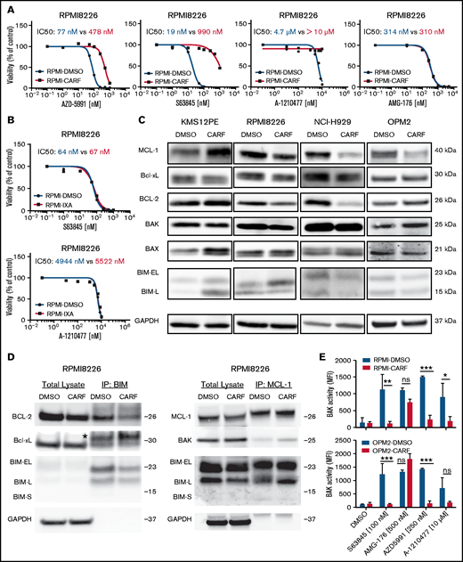 MCL-1 inhibitors are less effective in CARF-resistant myeloma cells. (A) Dose-response curves of MCL-1 inhibitors in CARF-sensitive and -resistant RPMI8226 cells (n = 3 biological replicates). Viability was assessed 72 hours after treatment induction. (B) Dose-response curves of MCL-1 inhibitors in IXA-sensitive and -resistant RPMI8226 cells. Viability was assessed 72 hours after treatment induction (n = 3 biological replicates). (C) Baseline Bcl-2 family protein levels in CARF-sensitive and -resistant cell line variants (n = 3 biological replicates). (D) Coimmunoprecipitation experiments in CARF-sensitive (DMSO) and -resistant (CARF) RPMI8226 cells revealed no explanation for the reduced activity of MCL-1 inhibitors (n = 2 biological replicates). *Immunoglobulin light chain. (E) BAK activity status in CARF-sensitive and -resistant cells 4 hours after treatment with MCL-1 inhibitors (n = 3 biological replicates). *P < . 05; **P < .01, ***P < .001; ns, not significant.