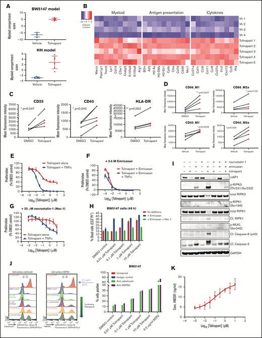 Tolinapant promotes activation of the innate immune system by inducing necroptosis and immunogenic cell death in tumor cells. (A) Myeloid pathway score for the BW5147 model (top) and the HH model (bottom) calculated using NanoString Advanced Analysis pathway scores module. (B) Heatmap of the expression of selected genes that are differentially expressed between vehicle and tolinapant-treated BW5147 tumors (adjusted P < .05), displayed as gene-wise z-scores (log2 normalized expression). Selected genes were obtained from gene expression signatures associated with different pathways scored with NanoString Advanced Analysis GSA module. (C) Expression of CD25, CD40, and HLA-DR on M0 macrophages at day 6 of treatment with vehicle (DMSO) or 1 µM tolinapant analyzed by flow cytometry (3 donors). *P < .05, **P < .01 (ratio paired t test). (D) Expression of CD86 (top) and CD40 (bottom) on polarized M1 and M2 macrophages at day 8 of treatment with vehicle (DMSO) or 1 µM tolinapant analyzed by flow cytometry (3 donors). *P < .05, **P < .001 (ratio paired t test). (E) Effect of tolinapant or tolinapant + 10 ng/mL mouse TNF-α on BW5147 cell viability by CTG assay after 72 hours. (F) As for panel E, except addition of 0.5 µM emricasan to inhibit caspase-8. (G) As for panel E, except addition of 20 µM Necrostatin-1 (Nec-1) to inhibit RIPK1. (H) Viability of BW5147 cells by cytometry (PI and CC3) after 48 hours’ treatment with tolinapant alone or with 0.5 µM emricasan or with 0. 5 µM emricasan plus 20 µM Nec-1. (I) Western blots of BW5147.1.4 cell lysates prepared after 48-hour treatment with tolinapant alone or with 0.5 µM emricasan or with 0. 5 µM emricasan plus 20 µM Nec-1. (J) BW5147 cell surface calreticulin or HSP90 staining analyzed by cytometry after 24-hour treatment with tolinapant or 0.2 µg/mL mitoxantrone. Data shown as flow cytometry histograms gated on total cells. (K) HMGB1 measured by enzyme-linked immunosorbent assay in BW5147 cell supernatants after 24-hour treatment with tolinapant.