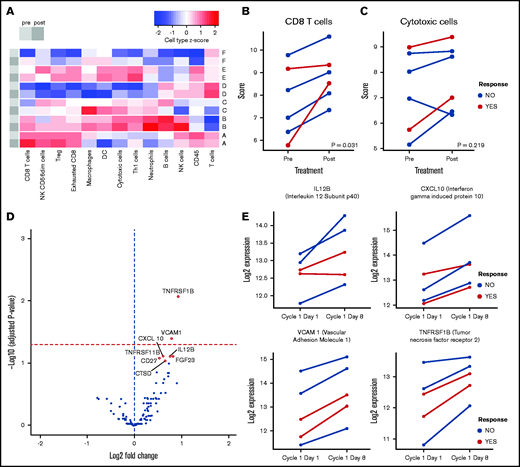 Tolinapant treatment has an immunomodulatory effect on human TCL patients. (A) Heatmap summarizing the cell type profiling scores for sets of paired PTCL biopsies from 6 patients (A-F), before (light gray) and after (dark gray) tolinapant treatment. Signature sets of gene expression associated with different cell types were scored with NanoString Advanced Analysis cell profiling module and converted to z scores. CD8 (B) and cytotoxic cells (C) scores, before vs after tolinapant treatment, in tumor biopsies of patients evaluated using NanoString Advanced Analysis modules. Responder patients are highlighted in red. All cell type scores are in log2 scale. Paired cell type scores were compared using a 2-sided Wilcoxon signed-rank test. Both P values are not significant when adjusted for multiple comparisons. (D) Volcano plot showing differentially expressed cytokines (highlighted in red circles) in plasma from patients upon treatment with tolinapant. Significant (FDR < 0.1) cytokines upregulated posttreatment are highlighted as yellow points. Horizontal red dashed line represents FDR < 0.05. (E) Log2 expression values of cytokines in plasma from 5 PTCL patients on days 1 and 8 of tolinapant cycle 1. Responder patients are highlighted in red.