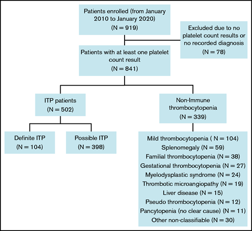 Patients in the McMaster ITP Registry included in this study.