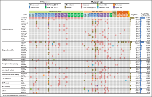 Mutational landscape of SPTCLs and other cutaneous T-cell lymphomas with panniculitic presentation in Korean patients. Integrated mutation map of Korean SPTCLs and previously reported data sets. A subset of genetic alterations was shared with PCGDTCL and MFs; however, the HAVCR2Y82C mutation was seen exclusively in SPTCLs. Genes that were more frequently mutated in HAVCR2WT SPTCLs are indicated with asterisks; statistical significance was determined by using Fisher’s exact test. ATP, adenosine triphosphate.