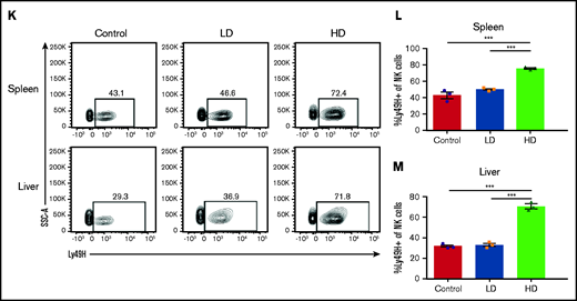 Viral load modulates NK cell activation and phenotype after acute MCMV infection. (A) Viral loads in livers of C57BL/6 mice at day 6 after LD (2 × 103 PFU) or HD (2 × 104 PFU) MCMV infection determined by quantitative PCR of the IE1 gene copy number per 100 ng of DNA. (B-D) Serum proinflammatory cytokines on day 6 after LD and HD MCMV infection. (E) Representative dot plots of Thy1.2 expression on NK cells on postinfection day 6, quantified in the spleen (F) and liver (G). (H) Representative dot plots of KLRG1 expression on NK cells on postinfection day 6, quantified in the spleen (I) and liver (J). (K) Representative staining of Ly49H+ NK cells in the spleen (L) and liver (M) on post-MCMV infection day 6. Means ± standard error of the mean are shown for 3 or 4 mice per group, representative of 2 experiments. *P < .05; **P < .01; ***P < .001; ****P < .0001, by Student t test or 1-way ANOVA with Tukey post hoc test.