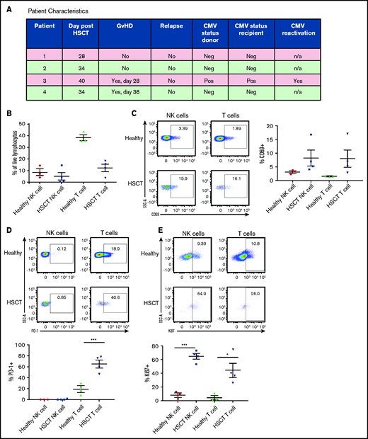 Human NK cells exhibit an activated phenotype in patients after HSCT. (A) Characteristics of patients who received T-cell–replete haploidentical allogeneic HSCT after a reduced-intensity conditioning. (B) Proportion of NK and T cells within total live PBMCs from healthy donors vs patients after HSCT. (C) Frequency of CD69 on NK- and T-cell PBMCs from healthy donors vs patients after HSCT. (D) Frequency of PD-1 on NK- and T-cell PBMCs from healthy donors vs patients after HSCT. (E) Frequency of Ki67 on NK- and T-cell PBMCs from healthy donors vs patients after HSCT. Means ± standard error of the mean are shown for 3 healthy donors and 4 HSCT donors. *P < .05; ***P < .001, by 1-way ANOVA with Tukey post hoc test.