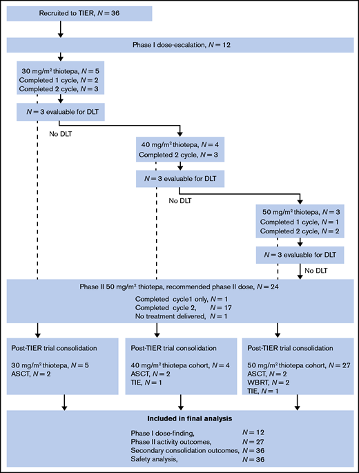Patient flow diagram. Shown are TIER treatments across both phases of the trial, consolidation, and inclusion in the final analyses. ASCT, autologous stem cell transplantation; DLT, dose-limiting toxicity; TIE, thiotepa, ifosfamide and etoposide; WBRT, whole brain radiotherapy.