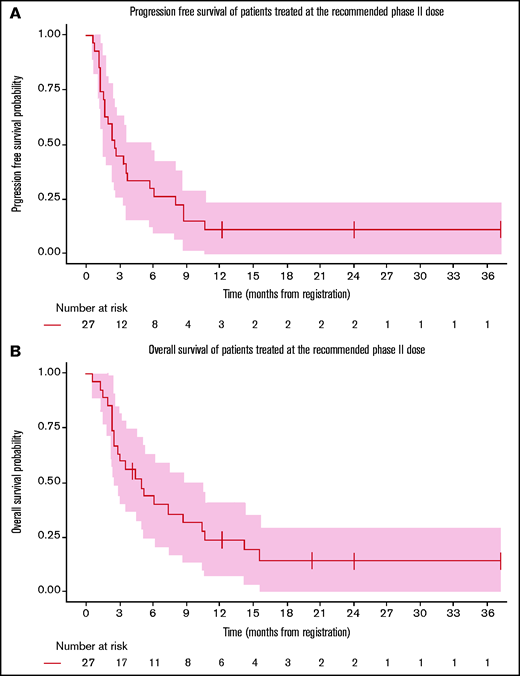 PFS (A) and OS (B) of patients treated at the RP2D.