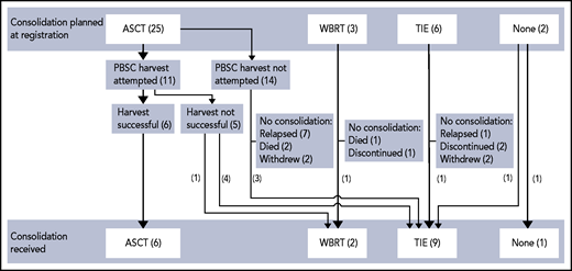 Diagram showing the post-TIER consolidation planned at baseline and the treatment ultimately delivered. ASCT, autologous stem cell transplantations; PBSC, peripheral blood stem cell; TIE, thiotepa, ifosfamide and etoposide; WBRT, whole brain radiotherapy.